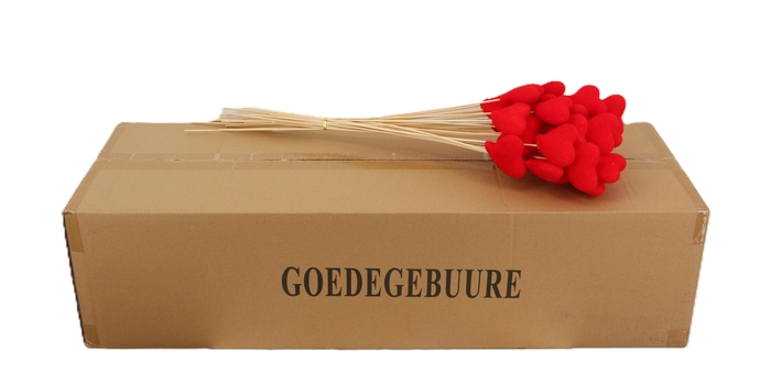 <h4>HUIS EN TUINDECO H%</h4>