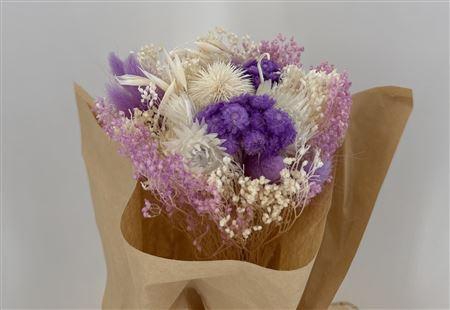 Dr Bqt Bleach Small Light Violet