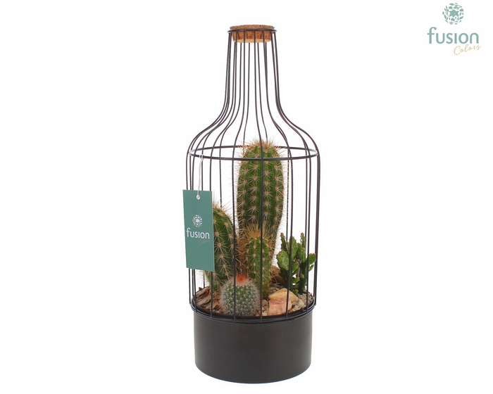 <h4>Fles metaal zwart Medium met Cactussen</h4>
