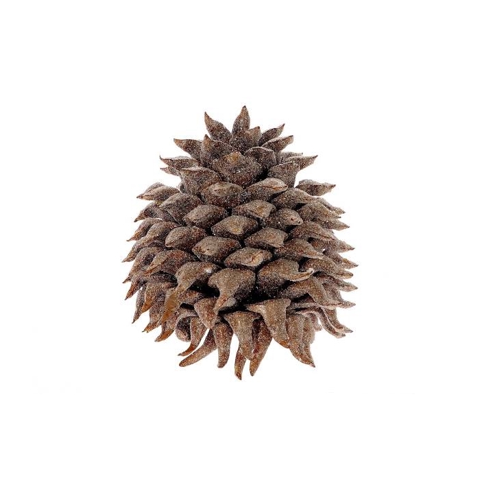 <h4>Pinecone Coultier Pine Wax Sugared Slv L35</h4>