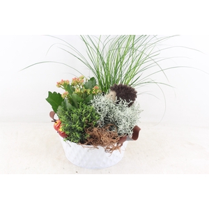 arr4 Outdoor VL - White diamond pot oor