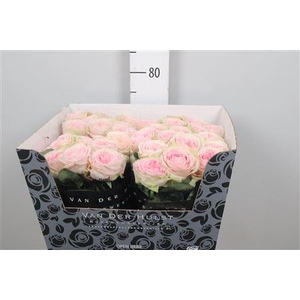 R Gr Bal Summerhouse