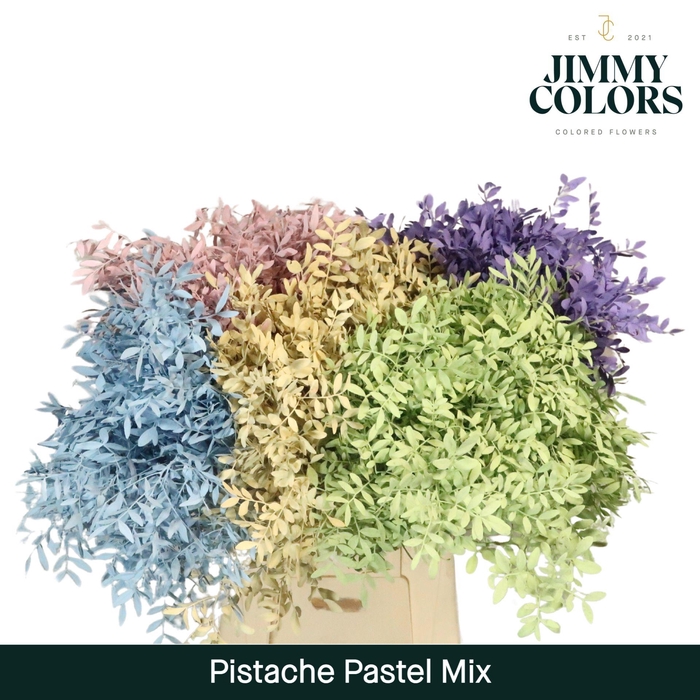 <h4>Pistache L45 Pastel Mix</h4>