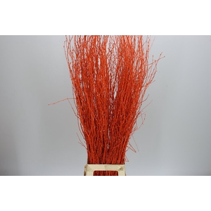 Berk Orange