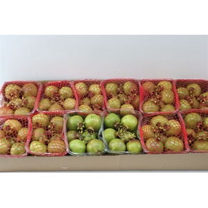 Sier Granaatappel Green X10 P Box
