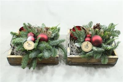 <h4>1. Xl Rood Dienblad Vk</h4>