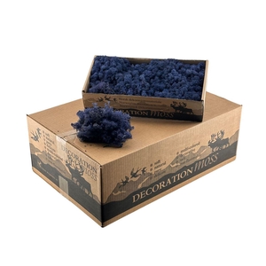 Ijslandsmos Classic Blue