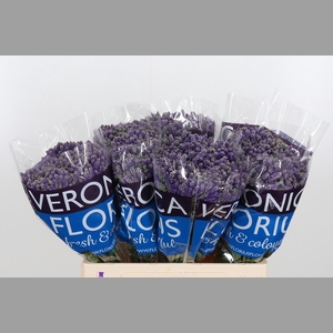 Veron Smart Fountain Spray