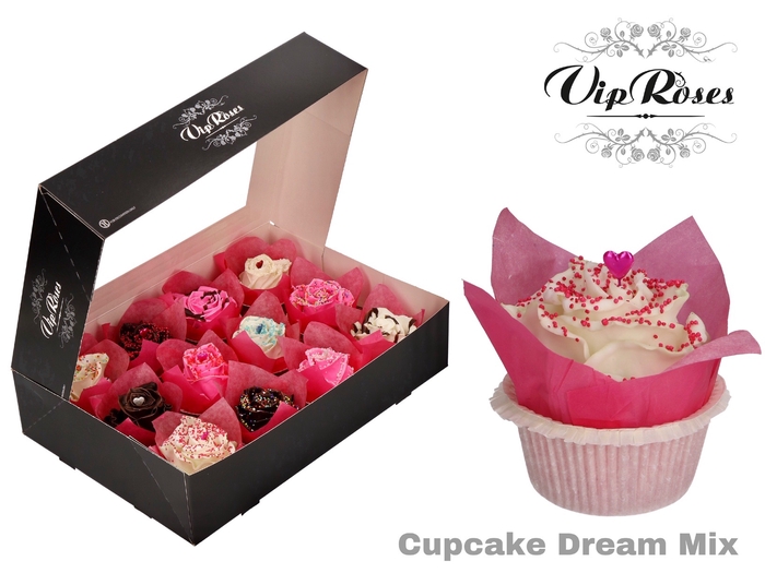R GR CUPCAKE DREAM MIX