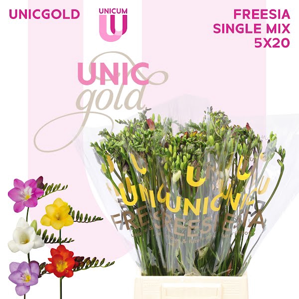 <h4>Unicgold - Single mix 5x20</h4>