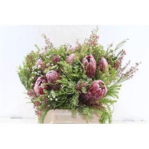 Protea Boeket