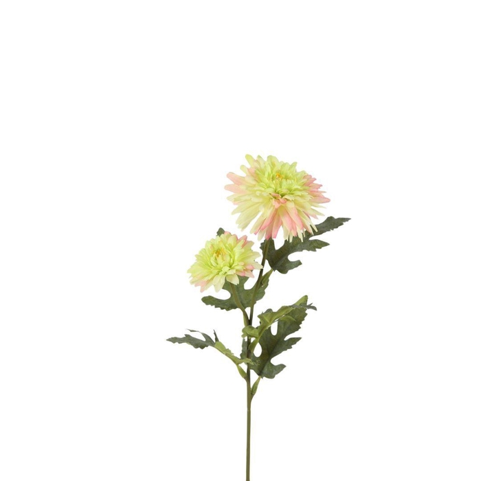 <h4>Chrysanthemum 51cm</h4>