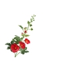 Alcea Large Red