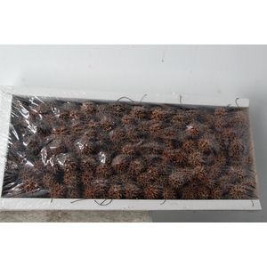 Amberbaum Box Natural (1 kg)