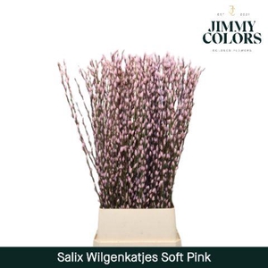 Salix Katjes L120 Soft pink