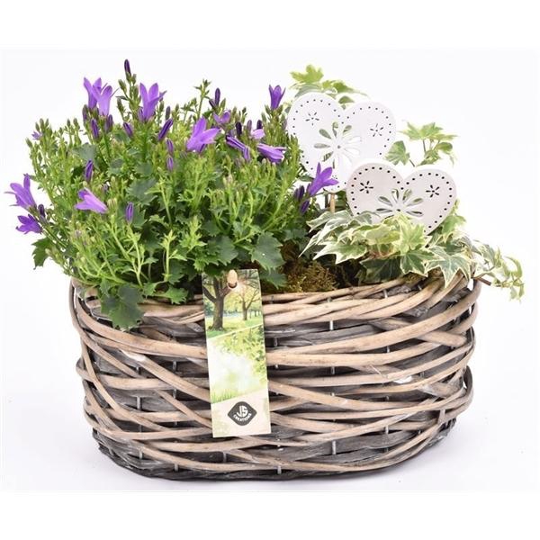 <h4>Wilg mand ovaal girjs 22x13cm2</h4>