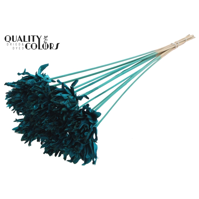 <h4>Shola Slice Pine 6cm on stem Turquoise</h4>