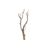 Syringa Branch Extra Mondriaan
