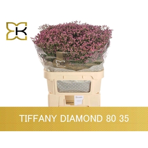 LIM SIN TIFFANY DIAM