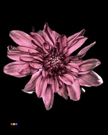 Chr T 2 Kl Baltica Cassis