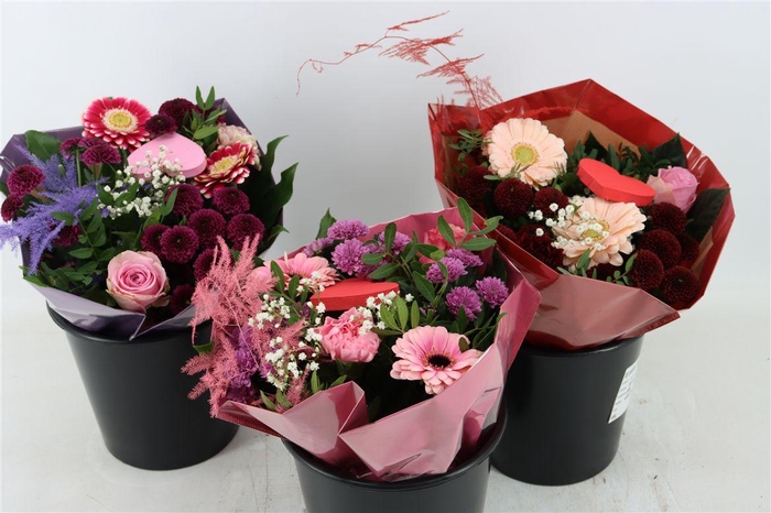 <h4>Bqt Quattro 14st</h4>