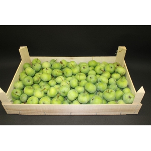 F Appel Groen 5kg