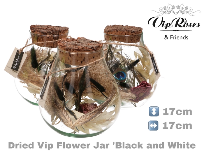 DRIED VIP FLOWER JAR BL & WH