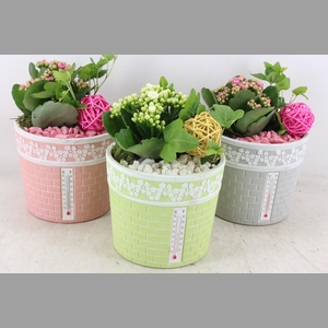 arr2 PL - Ker. pot celcius x3 - roze/wit