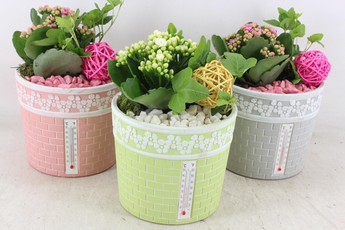 Arr2 Pl - Ker. Pot Celcius X3 - Roze/wit
