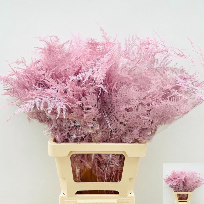 <h4>ASP OV KLB H%</h4>