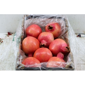 Sier Granaatappel Red Green X8 P Box