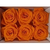 Ro Pres Classic Yellow