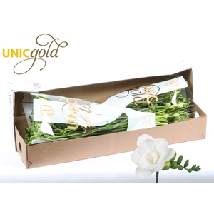 UG Barendse - Essence box