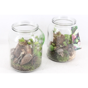 arr4 Amaryllis MB - Glas pot dik 338/6
