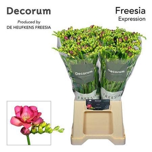 Fr Du Expression Cerise Red