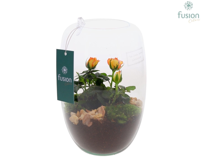 <h4>Green Bottle Isabella Small met arrangement</h4>
