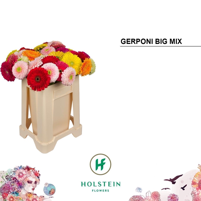 <h4>GE GB GERP BIG GEM</h4>