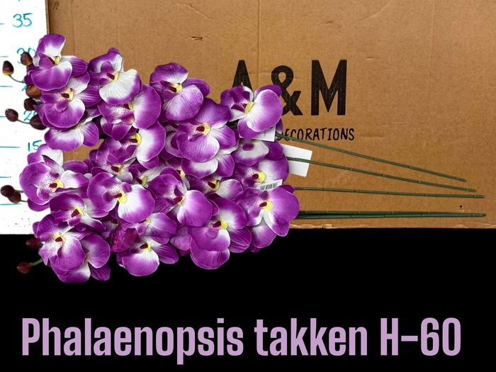 <h4>HUIS EN TUINDECO H%</h4>