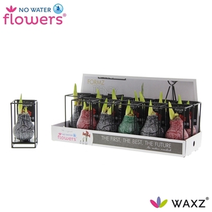 Hipp Waxz Formz Industrial Mix