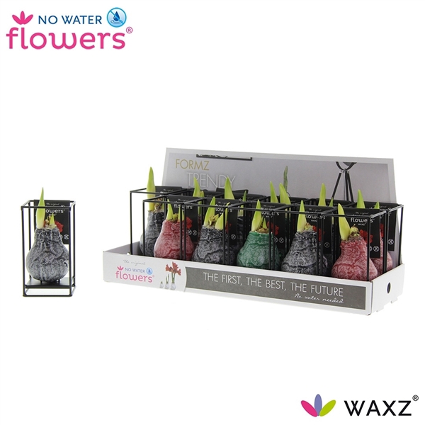 <h4>Hipp Waxz Formz Industrial Mix</h4>