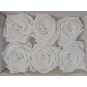 Ro Pres Classic White