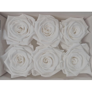 Ro Pres Classic White