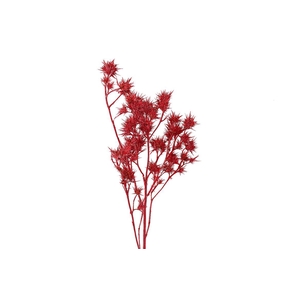 Dried Artz Cardi Monet Bunch