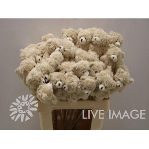 DECO stick bear pluche light brown