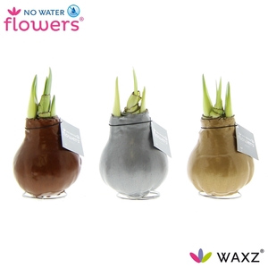 No Water Flowers Waxz® Metallic Gold / Silver/ Copper