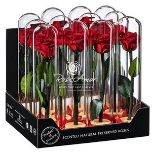 Display Dome Lucca Red01
