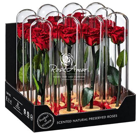 <h4>Display Dome Lucca Red01</h4>