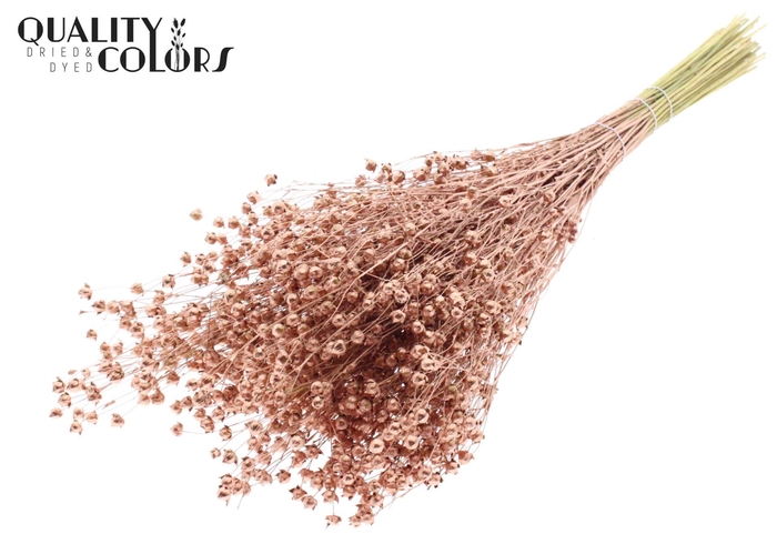 <h4>Droogbloemen   ...bewerkt H%</h4>