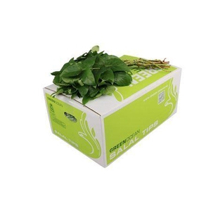 Salal Tip Selected