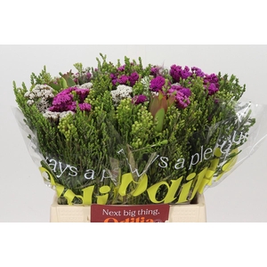 BQ Wild Flower